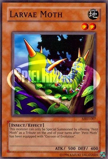 Larvae Moth (V.1 - Common)