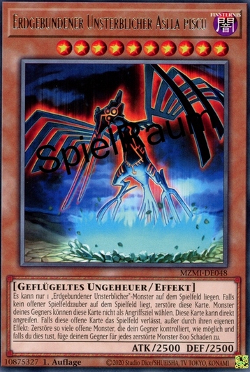 Earthbound Immortal Aslla piscu