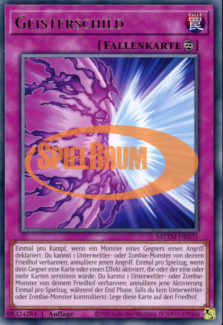 Spirit Shield