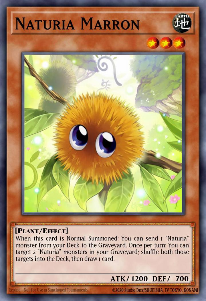 Naturia Marron Single: Yu-Gi-Oh! OTS Tournament Pack 18 Einzelkarte
