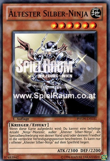 Senior Silver Ninja