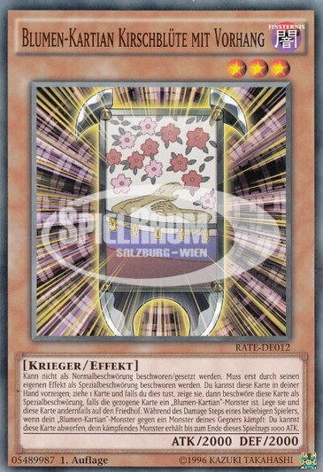 Flower Cardian Cherry Blossom with Curtain