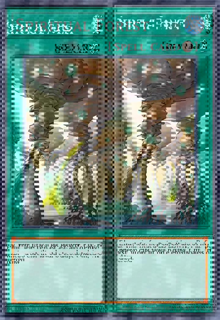 Spiritual Forest