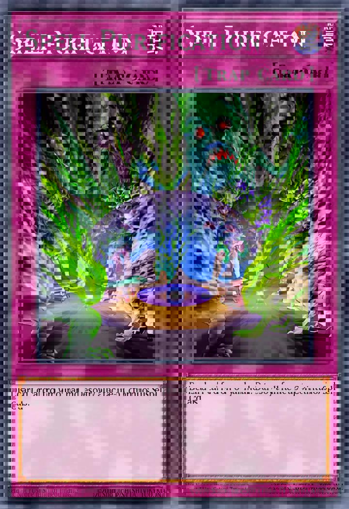 Spell Purification