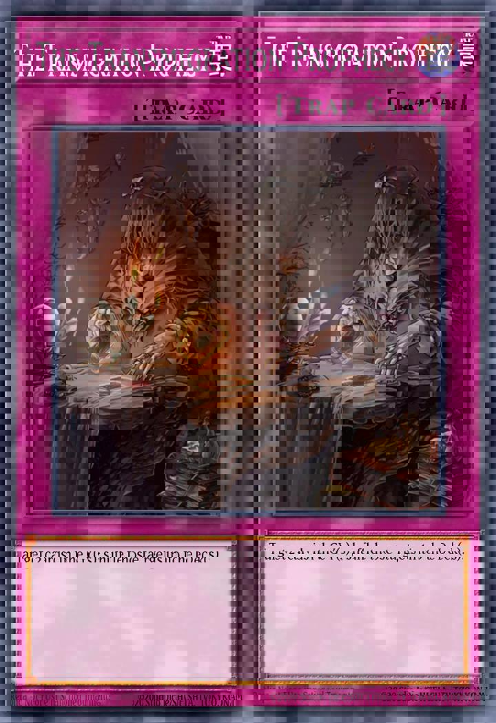 The Transmigration Prophecy
