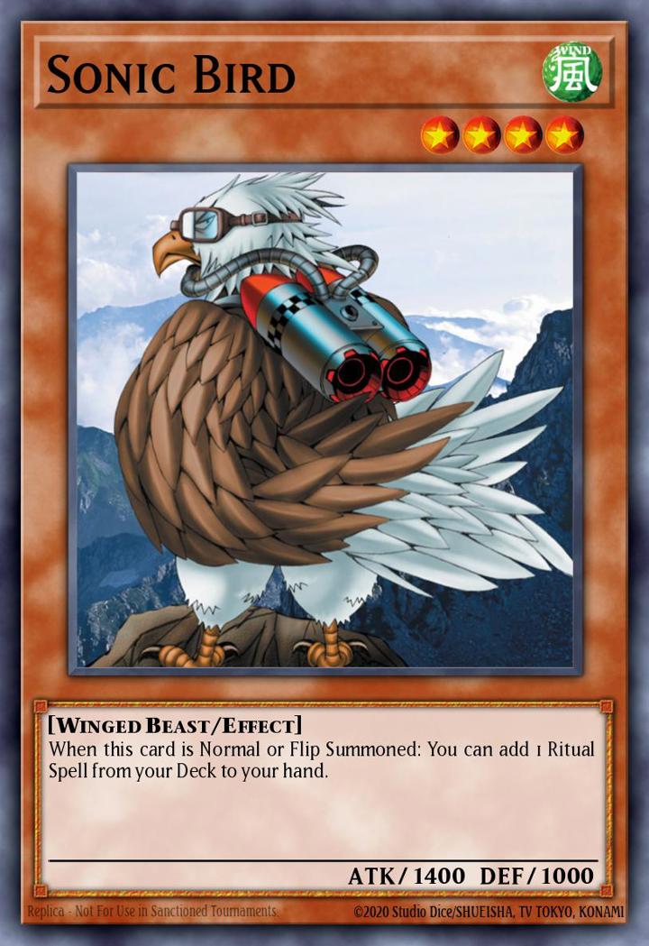 Sonic Bird Single: Yu-Gi-Oh! Speed Duel GX: Duel Academy Box Einzelkarte