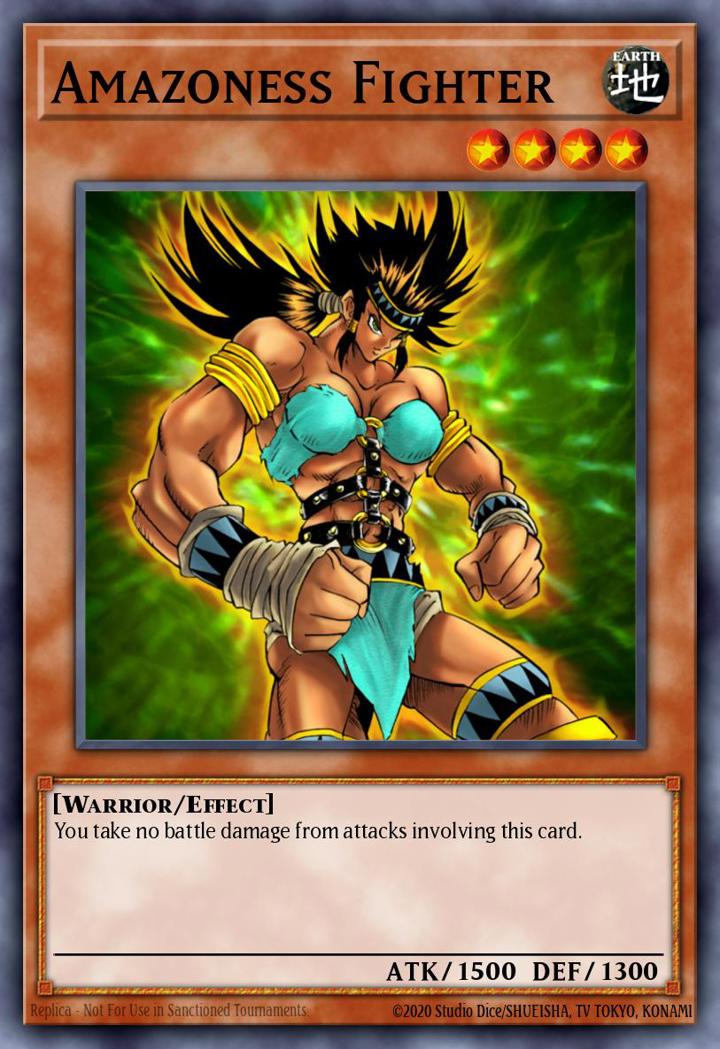Amazoness Fighter Single: Yu-Gi-Oh! Speed Duel GX: Duelists of Shadows Einzelkarte