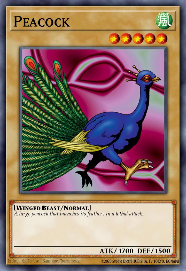 Peacock
