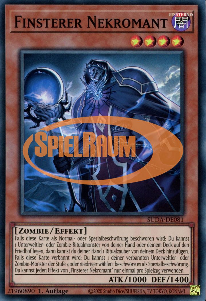 Dark Necromancer