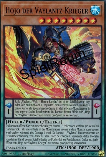 Hojo the Vaylantz Warrior