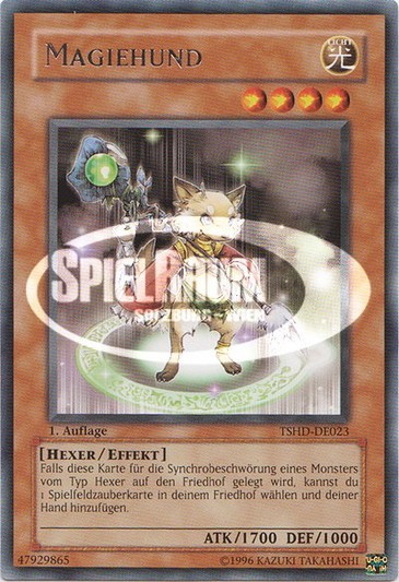 Magidog