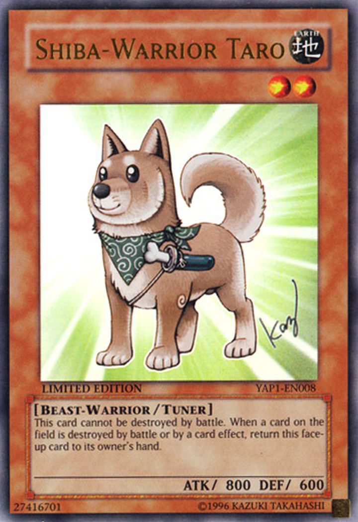 Shiba Warrior Taro