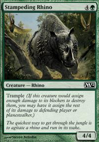 Stampeding Rhino