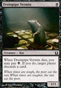 Drainpipe Vermin