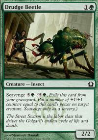 Drudge Beetle