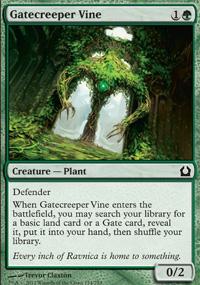 Gatecreeper Vine
