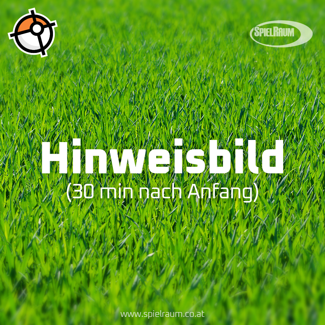 pokemon Geo catch em all! spielraum geocaching hinweisbild mit gras